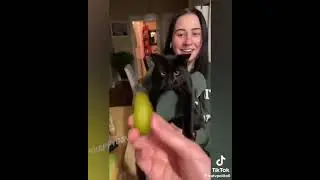 Без смеха не останешься