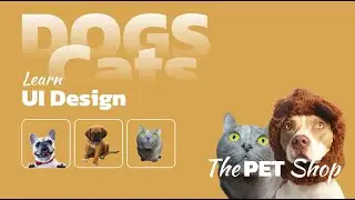 PET shop Website Design