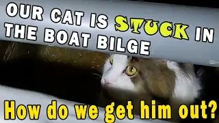 Our cat is STUCK in a bilge - Ep. 16