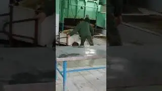 ФГБУ ВНИИЗЖ г.Владимир мкр.Юрьевец,забой скота для тушонки