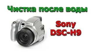 Sony DSC-H9 cleaning after water - repair of camera