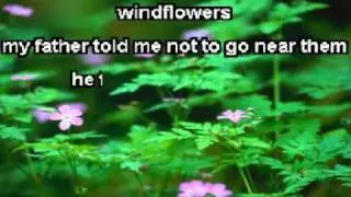 Windflowers Karaoke with Backups - Seals and Crofts.mp4