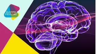 Brain inflammation in the race against dementia