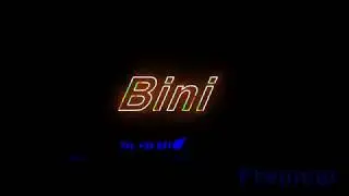 Bini Logo V1