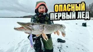 The first ice, 3 centimeters thick, is CRACKING and breaking underfoot! PIKE IN EVERY HOLE!