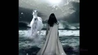 Σεντόνια δΙχτυα-Δημήτρης Ζερβουδάκης