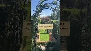 Невозможно остановиться замечать мир и его красоту 