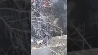 Подарки для российских Солдат ! / gifts for Russian soldiers!