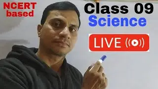 class 9 science motion
