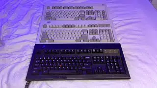 IBM Model M13 vs Silver Badge Model M vs Blue Badge Model M Sound Test