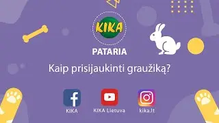 KIKA pataria: kaip prisijaukinti graužiką?