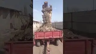 опасный груз