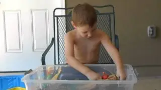 Dino Box