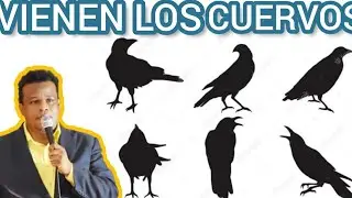 LLEGARON LOS CUERVOS /MARTES REBOSANTE |PEDRO LUIS ADAMES|ROLANDO METIVIER
