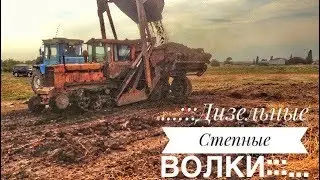 ...:::Фронтально перекидной погрузчик на базе ДТ-75!!Погрузка перегноя:::...