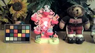Samsung Galaxy Tab 3 10.1 Indoor Sample Video