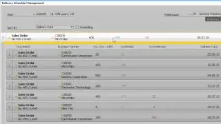 SAP Business One HANA Delivery Schedule Management