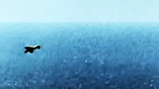 Spitfire ace Dives into sea to Rescue Bf-109 pilot