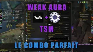 [WA] Comment faire un tracker Weak Aura couplé à TSM.