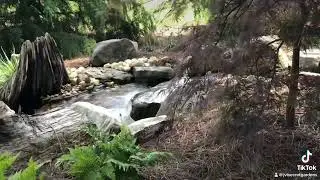 A pond you can swim in.