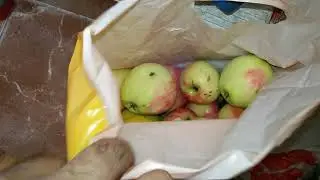 Свой урожай яблок