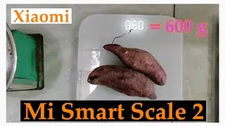 Mi Smart Scale 2