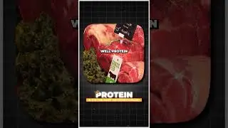 Why Protein is so Important  #healthyfood #mealprep #food