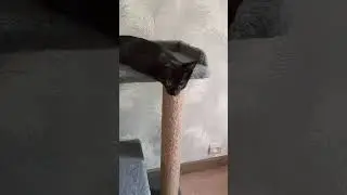Маленькая шкода )) 