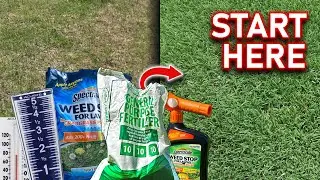 Beginner Lawn Care Tips // The Must-Know Steps to Fix Your Ugly Lawn