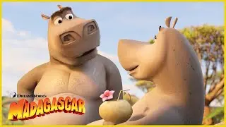 Madagascar | Creo que le gustas a Moto Moto ❤️ | Dibujos Animados en Español
