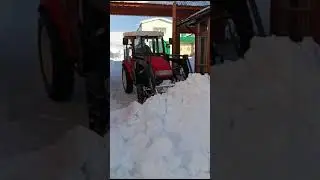 26 февраля 2024 г.