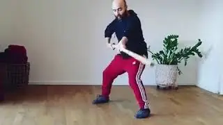Встряхивание длинного шеста (тайцзидаган)