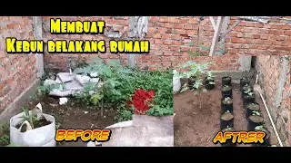 Membuat kebun mini belakang rumah || make a mini garden behind the house