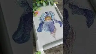 Сладкий сон от Андрианы...