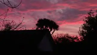 ASMR Beautiful Sky Background with Birds Song and Sounds of Nature.