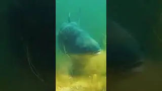 Повітряна тривога