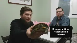 В гостях у Юры, черепах и не только