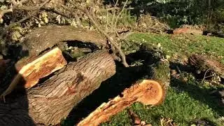 После урагана. Электричество -ура! Айова 2020. Iowa 2020. Electricity is back. Days after tornado .