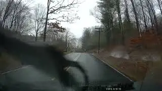 Electric line down w/ fire starting. Hampden, MA