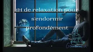 1h de relaxation pour s'endormir profondément avec les dauphins.