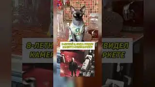 Типичный школьник 3 класс