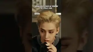 Сердечный текст песни "VENOM" группы Stray Kids