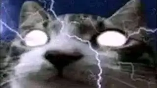 random video i stole from my friend