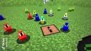 Minecraft Tik Tok Compilation (Cool Creators!)