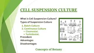 Cell Suspension Culture |Batch & Continuous Culture| Protocol, Importance| Plant Tissue Culture
