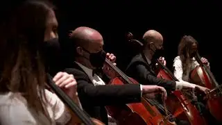 Violoncellové kvarteto Moravského divadla Olomouc