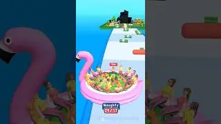 What does the evolution lead to?