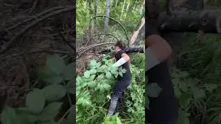 Приключение в лесу в близ Усть- Каменогорска