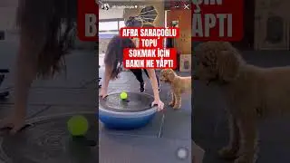 Afra Saraçoğlu topu sokmak için bakın ne yaptı . Yalı çapkını yeni bölüm fragmanı
