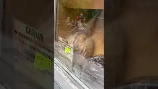 Цены на хлеб!